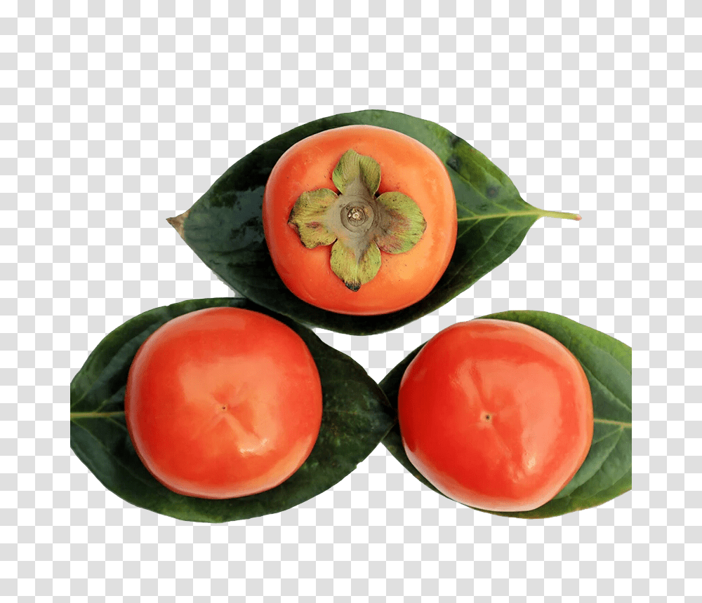 Persimmon, Fruit, Plant, Produce, Food Transparent Png