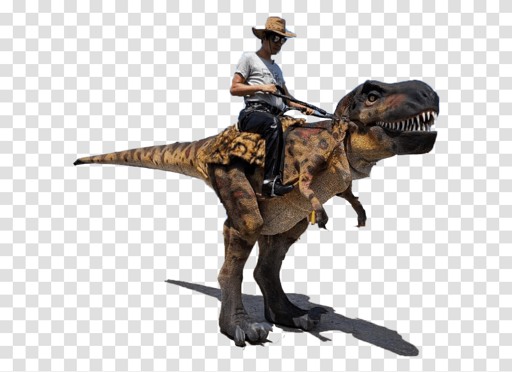 Person, Human, Dinosaur, Reptile Transparent Png