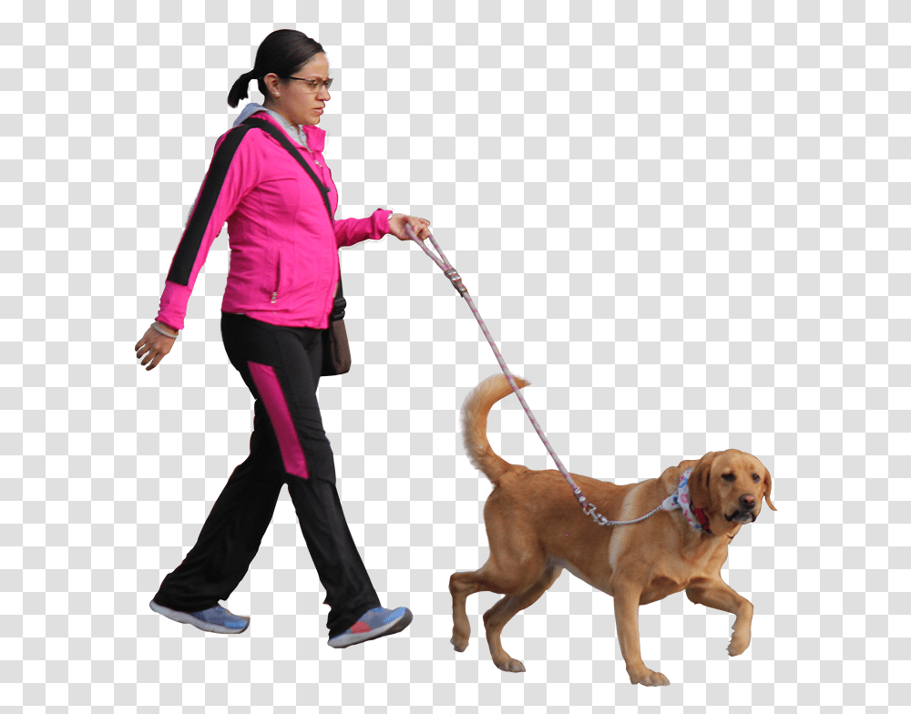 Person Walking A Dog, Pet, Canine, Animal, Mammal Transparent Png
