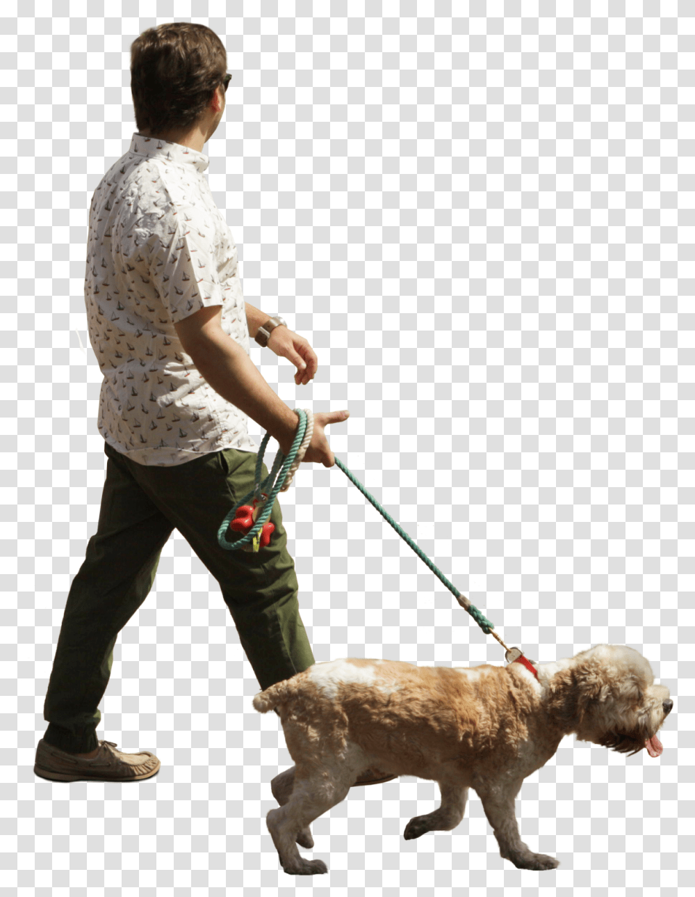 Person Walking Dog, Sheep, Mammal, Animal Transparent Png