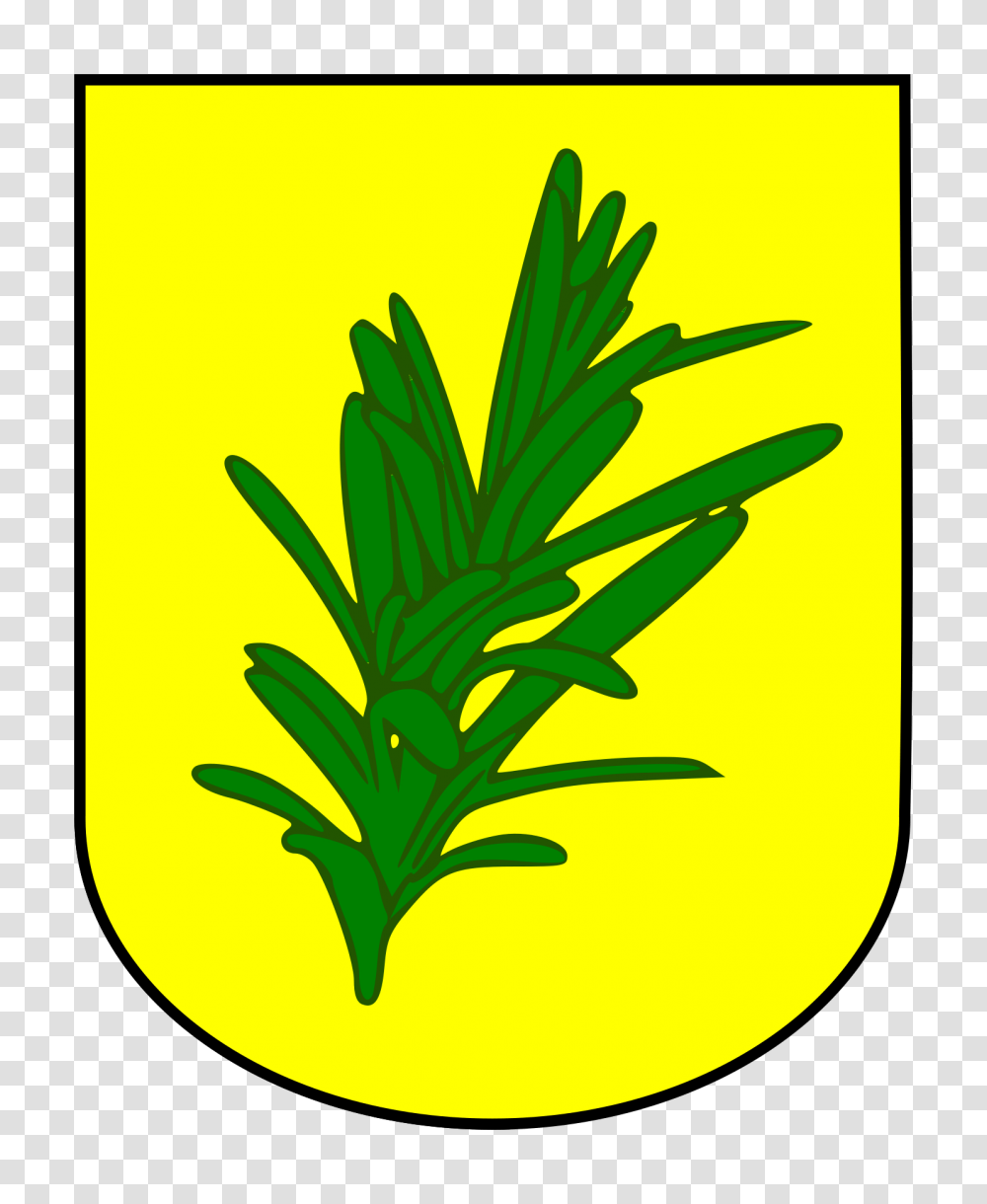 Personal Coat Of Arms My Surname Is Romero, Vase, Jar, Pottery, Plant Transparent Png