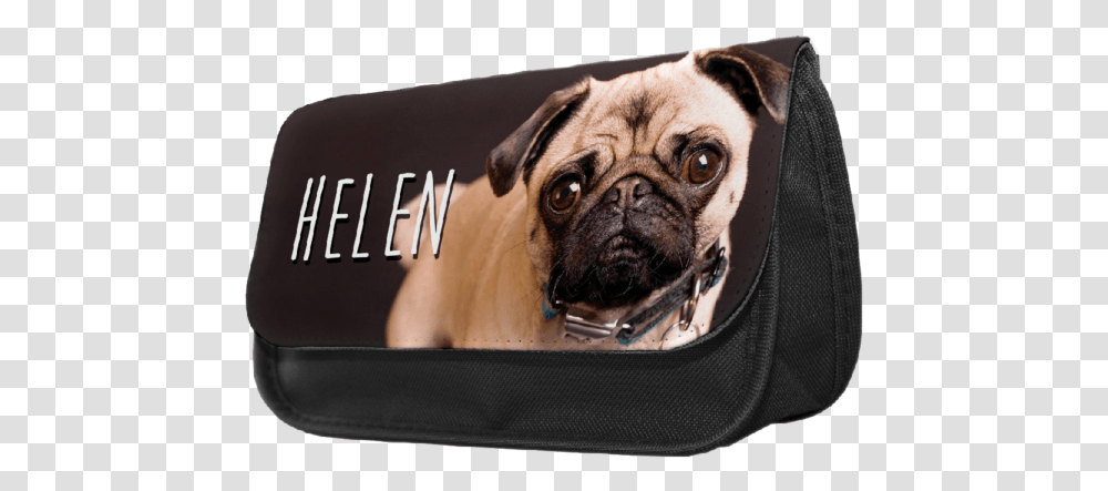 Personalised Golden Retriever Pup Pencil Make Up Case, Pug, Dog, Pet, Canine Transparent Png