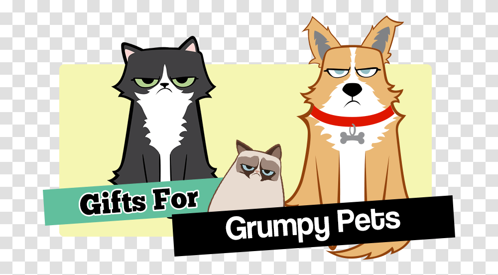 Personalised Grumpy Cat For Pets Cartoon, Mammal, Animal, Apparel Transparent Png