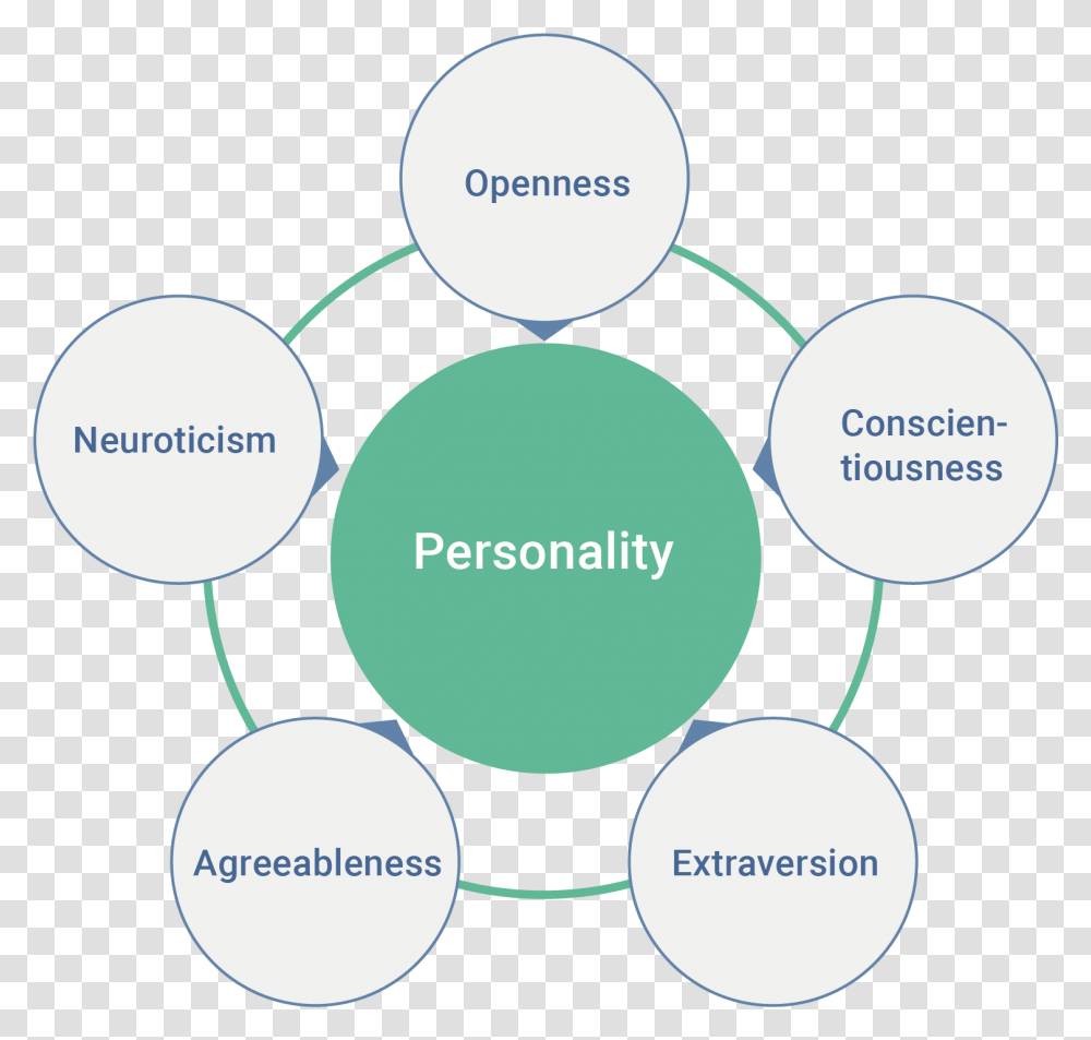 Personality Traits, Diagram, Plot, Network Transparent Png