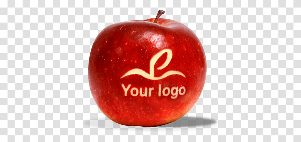 Personalized Apples Marked Inc Apple, Fruit, Plant, Food, Peel Transparent Png