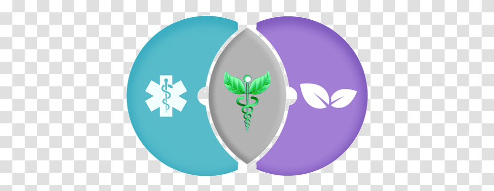 Personalized Membership Care Integrative Medicine Of Arizona Icon, Balloon, Nature, Outdoors, Egg Transparent Png