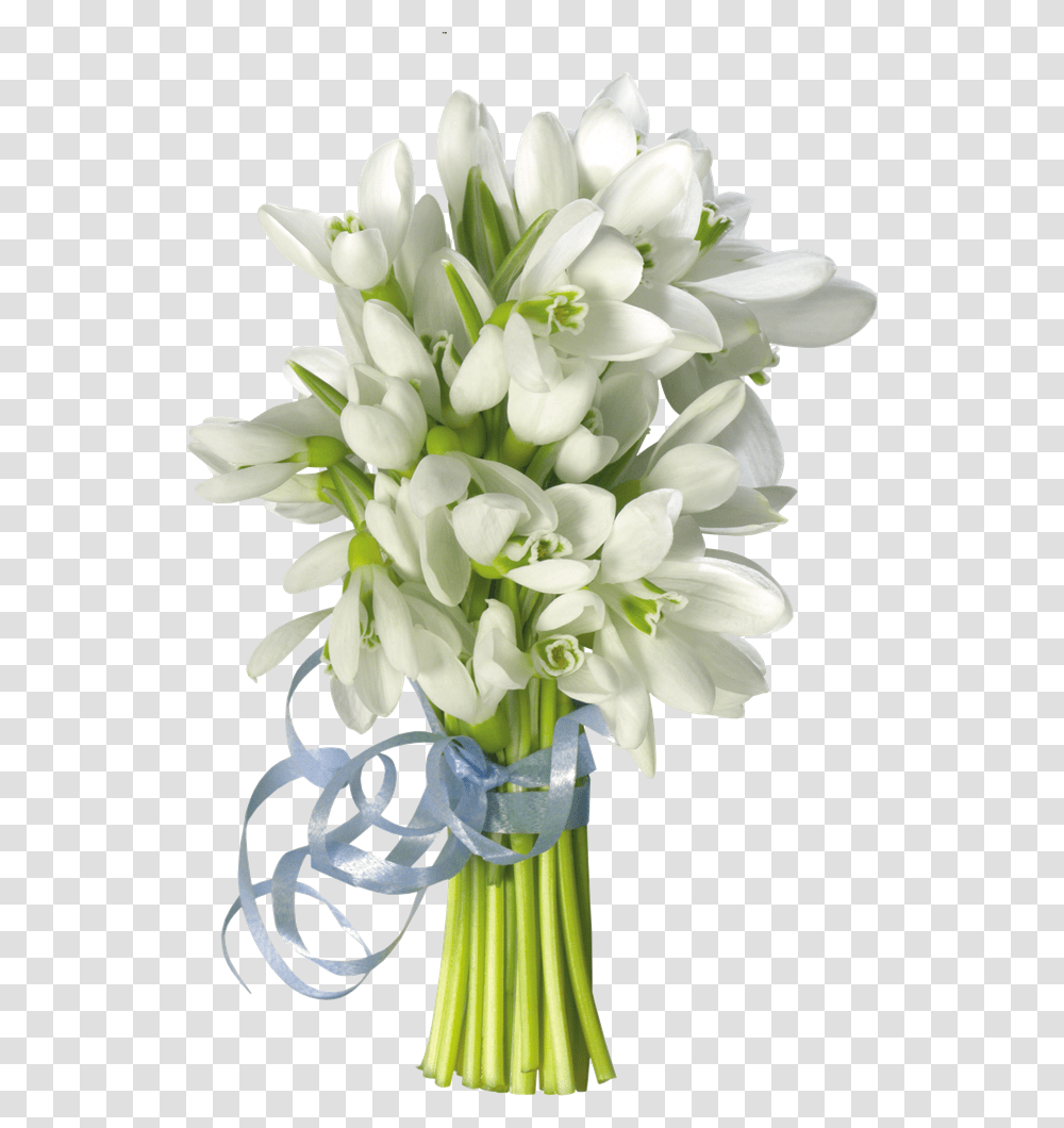 Pervim Dnem Vesni, Plant, Flower, Blossom, Floral Design Transparent Png