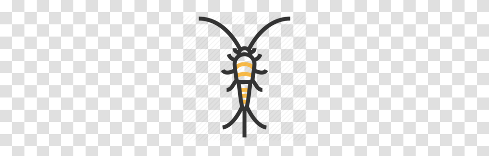 Pest Clipart, Animal, Invertebrate, Insect, Wasp Transparent Png