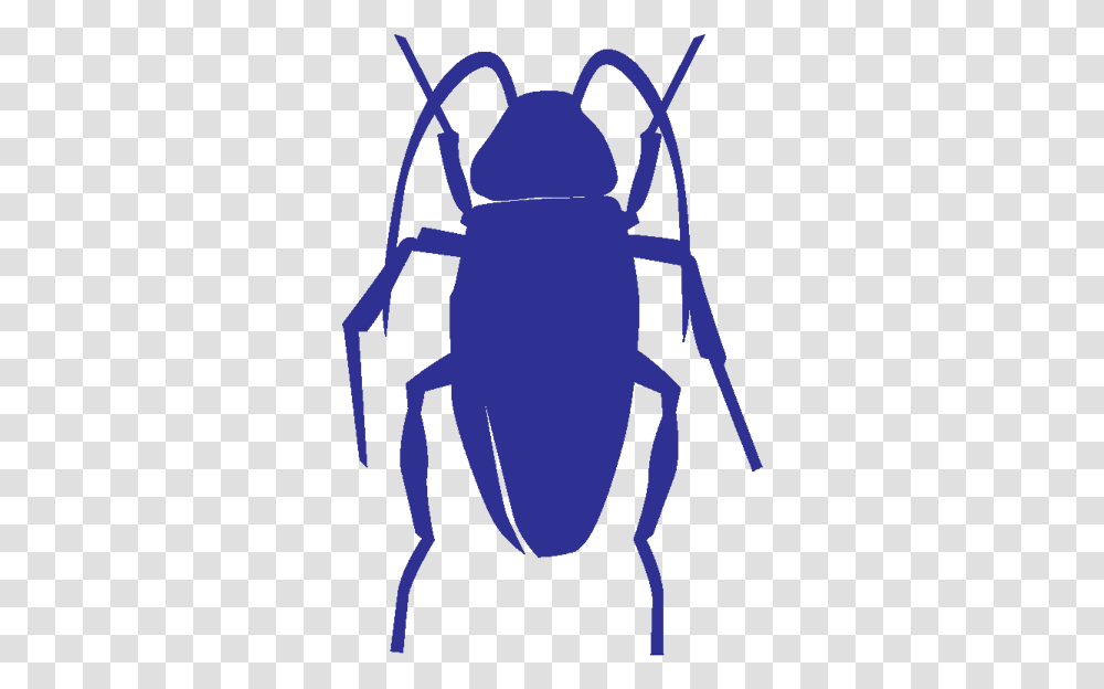 Pest Control Cockroach Icon, Insect, Invertebrate, Animal, Dung Beetle Transparent Png