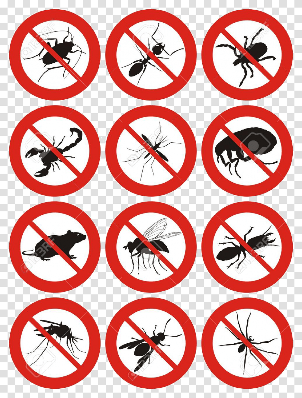 Pest Control Icon Free, Insect, Invertebrate, Animal Transparent Png