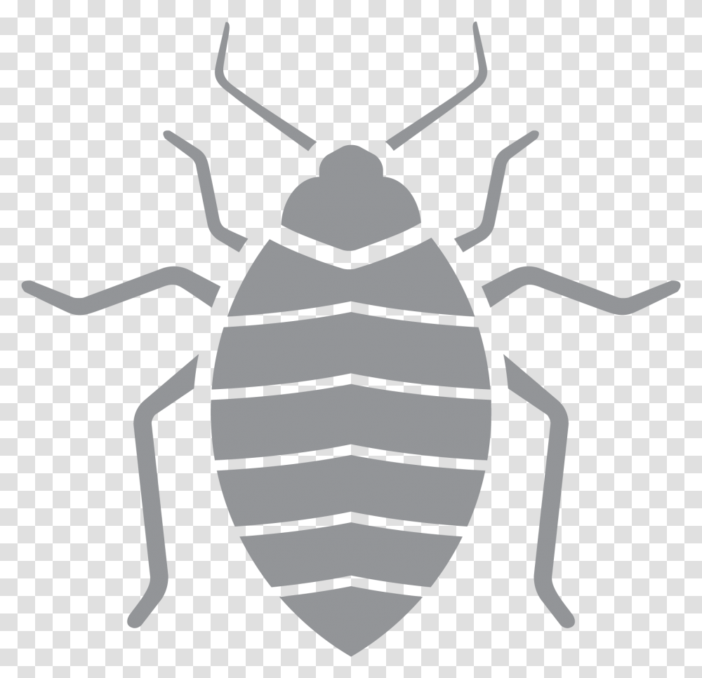 Pest Control, Invertebrate, Animal, Insect, Cockroach Transparent Png