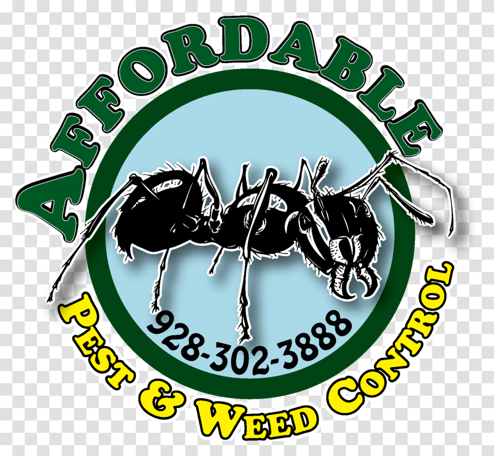 Pest Control Services In Lake Havasu Language, Insect, Invertebrate, Animal, Ant Transparent Png