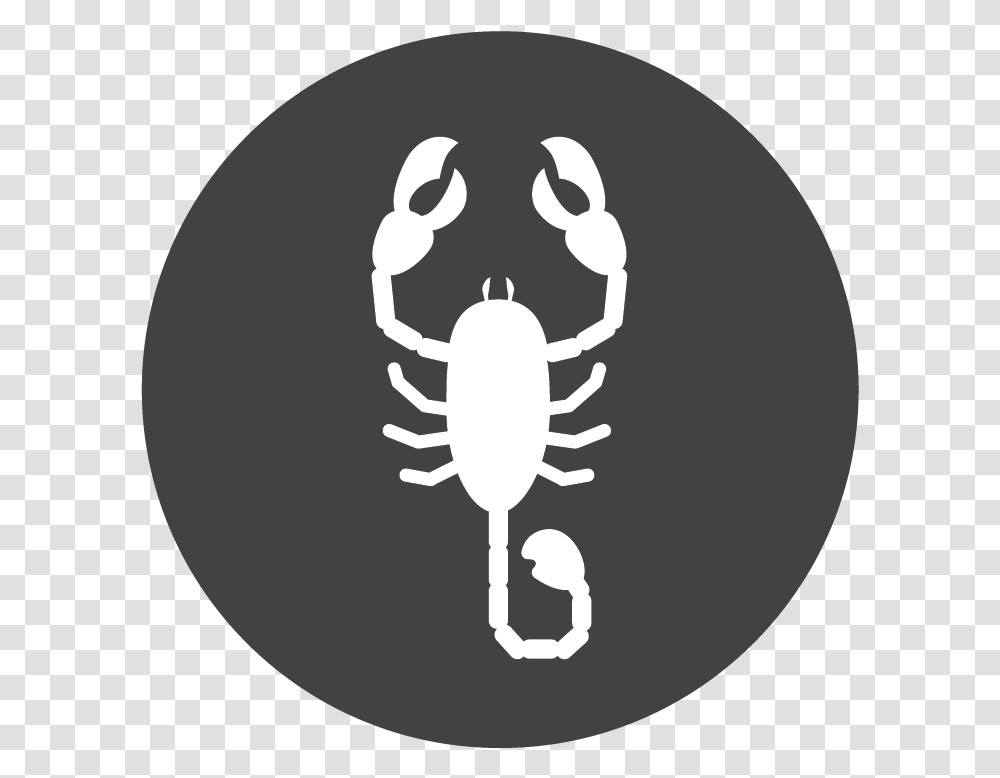 Pest Defense - Taexx Scorpion, Moon, Night, Astronomy, Outdoors Transparent Png
