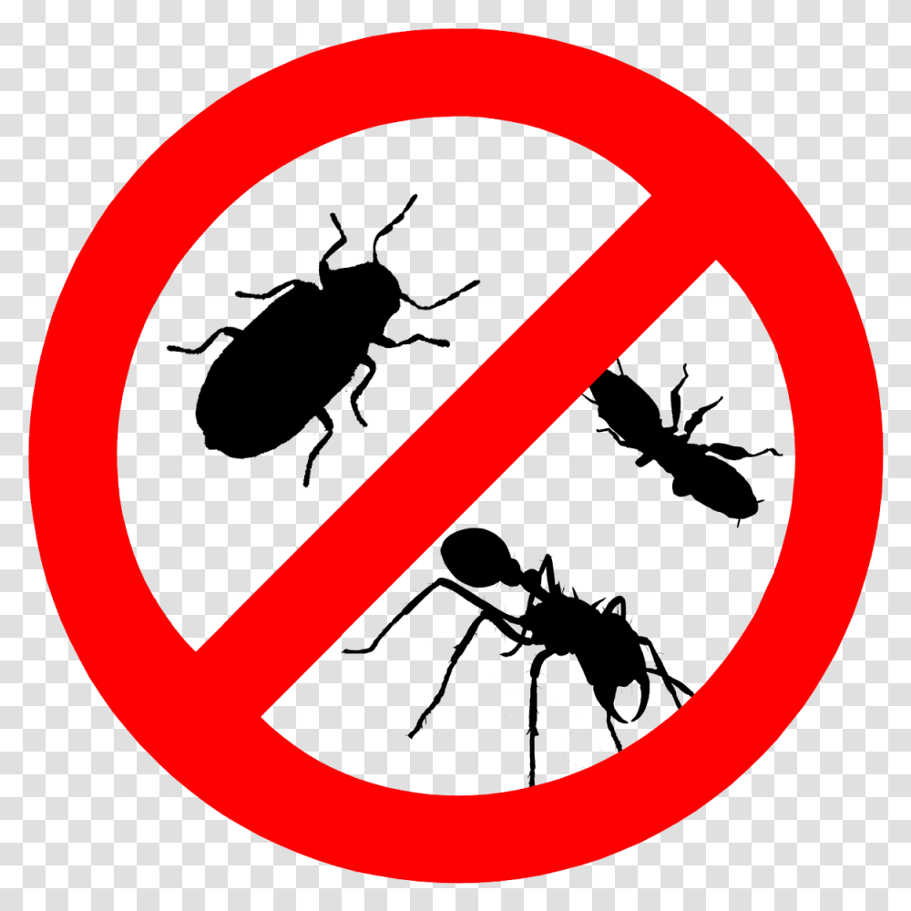 Pests Control, Road Sign, Stopsign Transparent Png