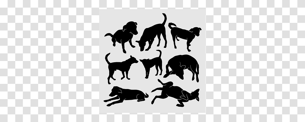 Pet Silhouette, Stencil, Dog, Canine Transparent Png