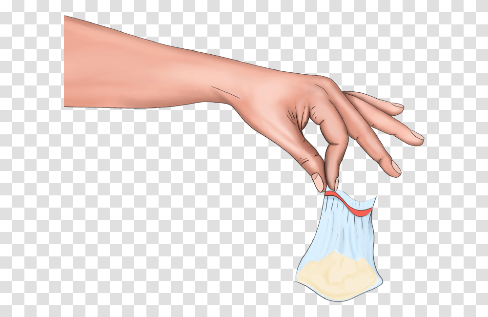 Pet An Animal, Person, Human, Hand, Arm Transparent Png