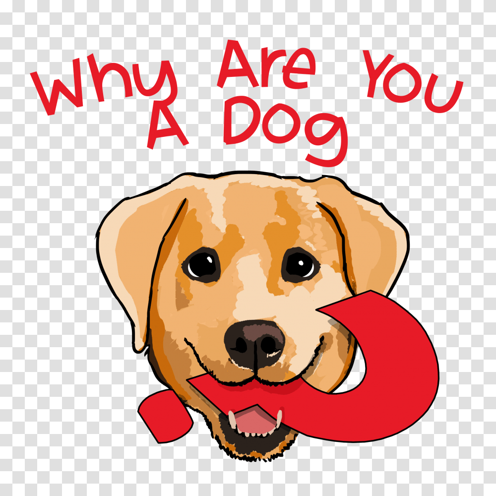 Pet, Animal, Canine, Mammal Transparent Png