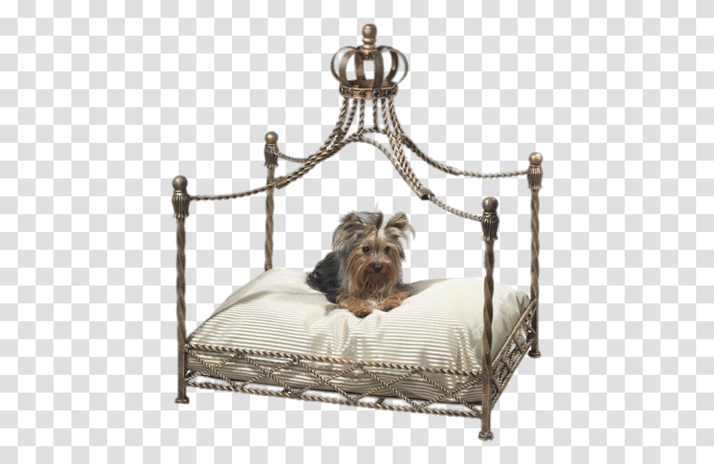 Pet Canopy Bed Cat Canopy Bed, Furniture, Dog, Canine, Animal Transparent Png