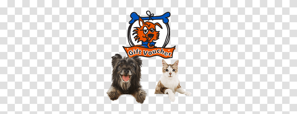 Pet Central Christchurch Best For Your Pet Online And In Store, Cat, Mammal, Animal, Canine Transparent Png