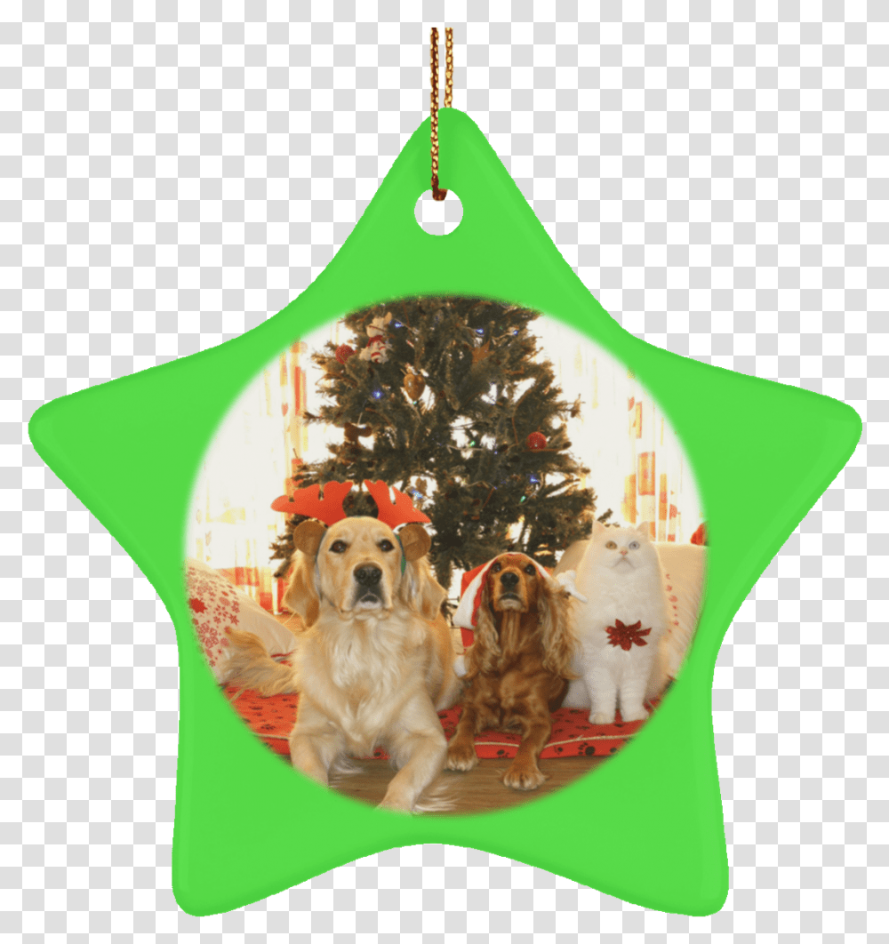 Pet Christmas Tree Ornament Cat Gift Crafted Holiday Things To Get Dogs For Christmas, Plant, Canine, Animal, Mammal Transparent Png