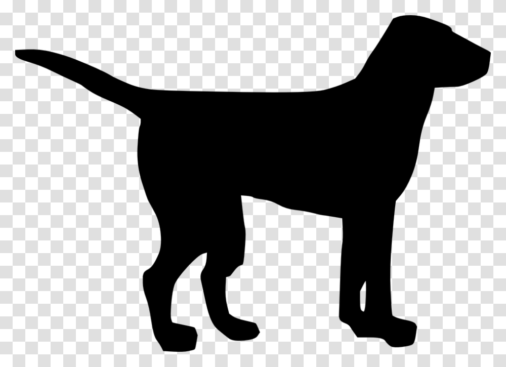 Pet Clipart Dog Tail, Gray, World Of Warcraft Transparent Png