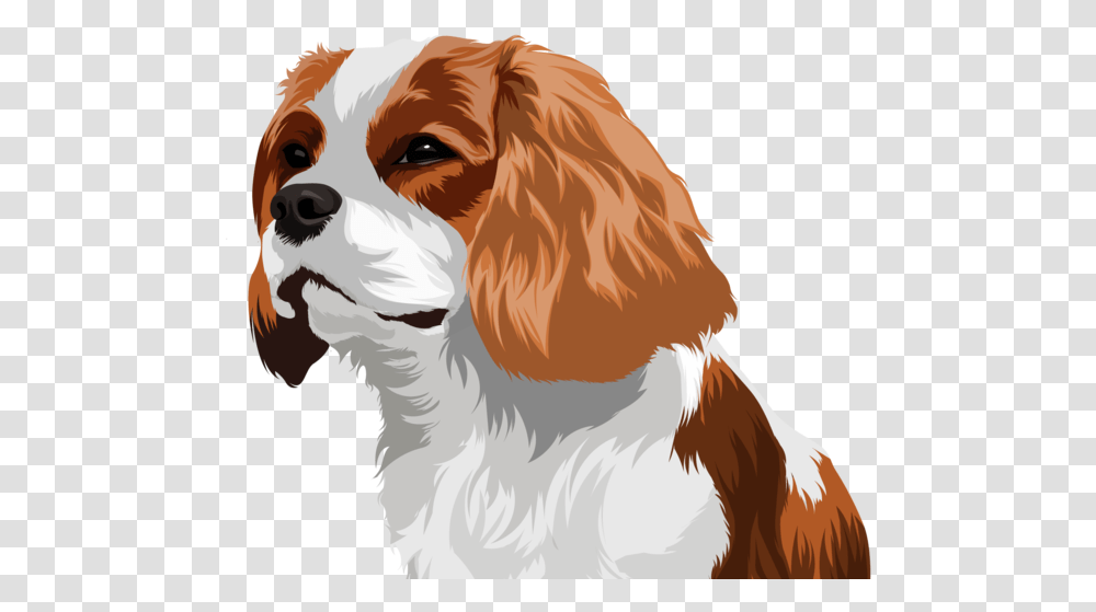 Pet Drawing Drawing Pets Dogs Vector Cartoon Design Cavalier King Charles Spaniel, Canine, Mammal, Animal, Puppy Transparent Png