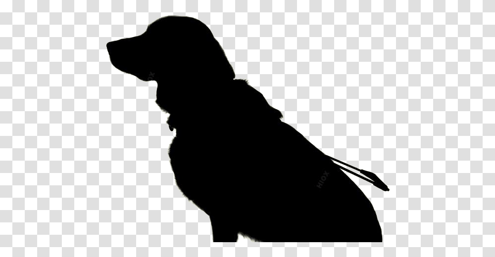 Pet Images, Silhouette, Person, People, Photography Transparent Png