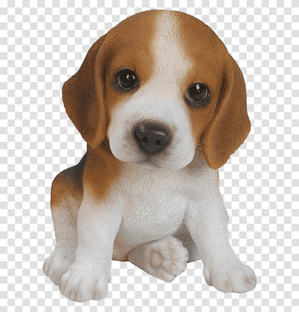 Pet Pals Beagle Puppy Resin Garden Ornament Moving Pics Of Animals, Hound, Dog, Canine, Mammal Transparent Png