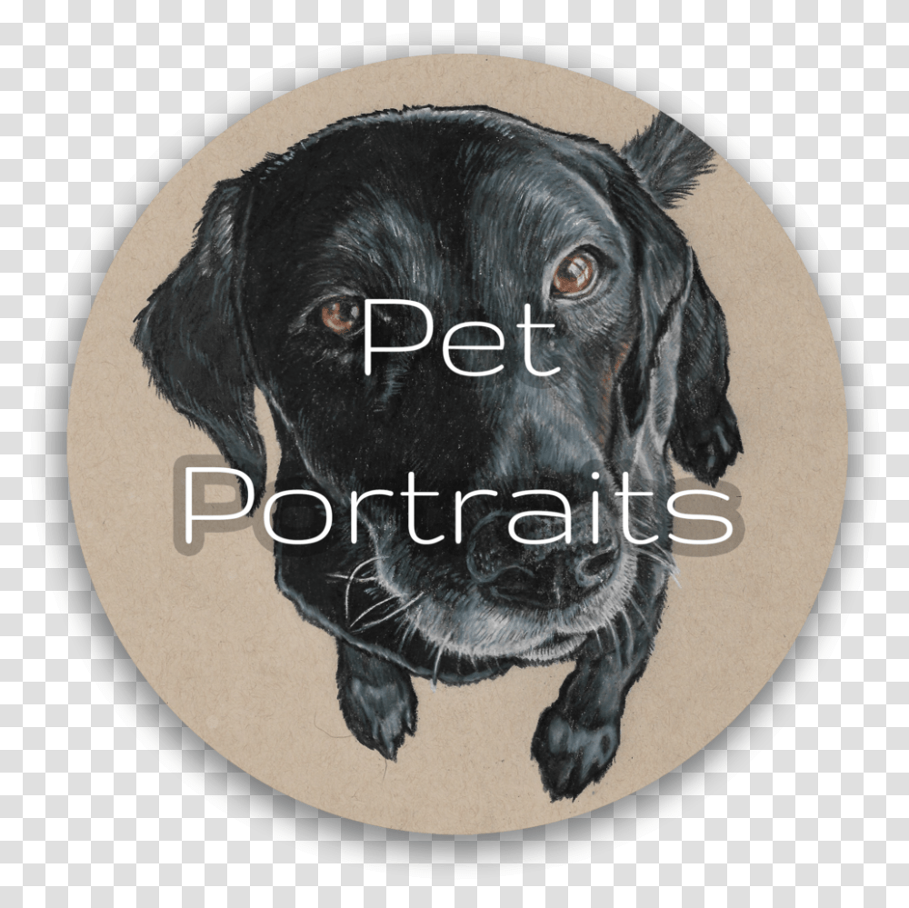 Pet Portrait Button Labrador Retriever, Mammal, Animal, Dog, Canine Transparent Png