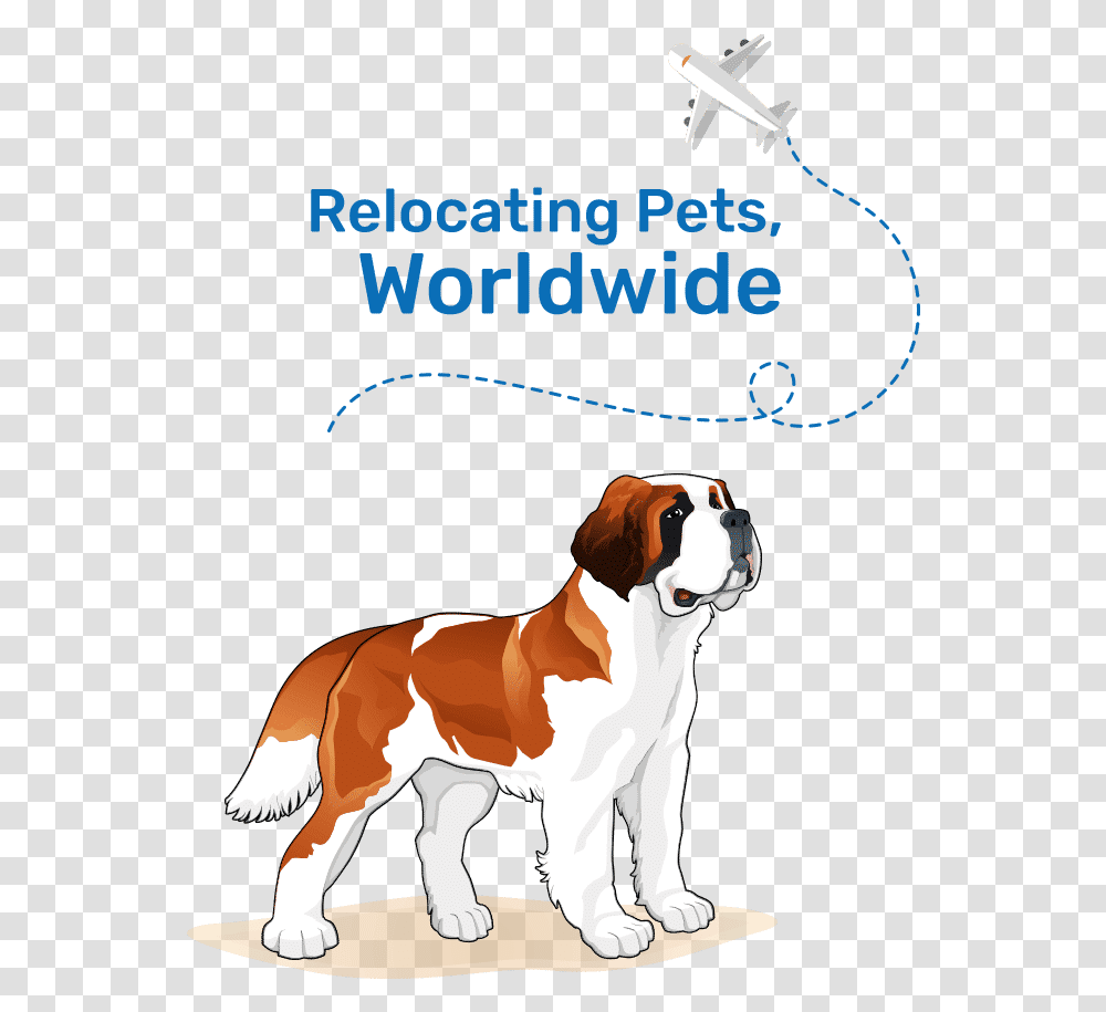Pet Relocating Specialists St Bernard Vector, Hound, Dog, Canine, Animal Transparent Png
