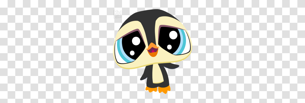 Pet Shop Clipart, Animal, Doodle, Drawing, Angry Birds Transparent Png