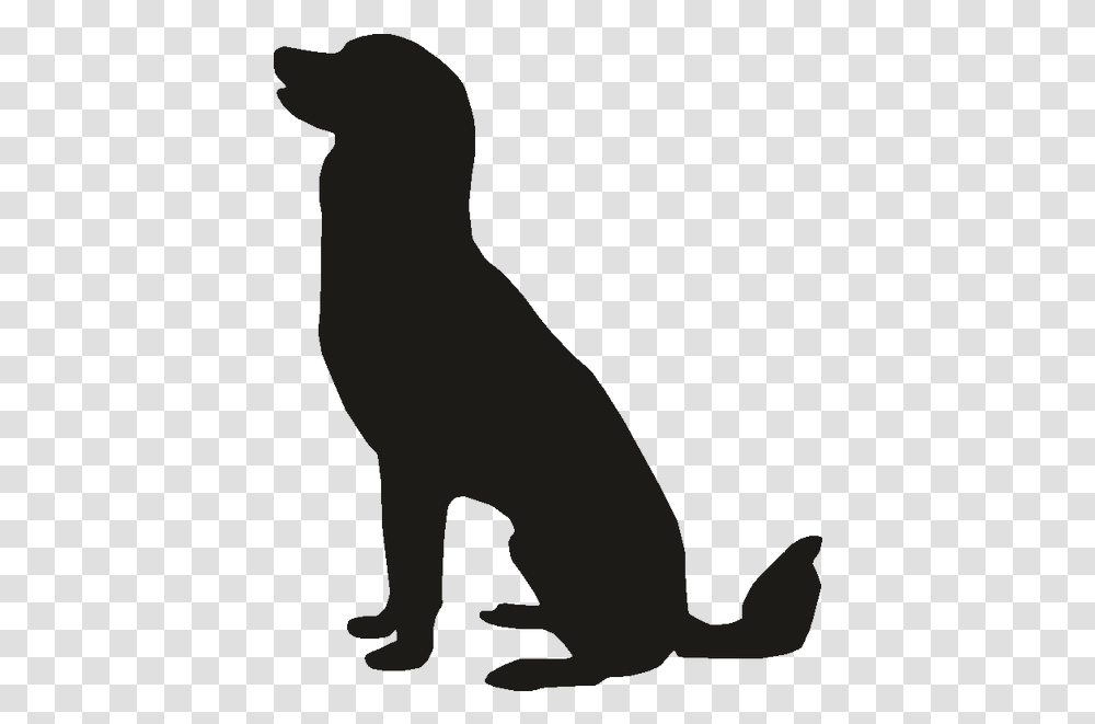 Pet Sitting Labrador Retriever Puppy Golden Retriever, Cat, Mammal, Animal, Egyptian Cat Transparent Png