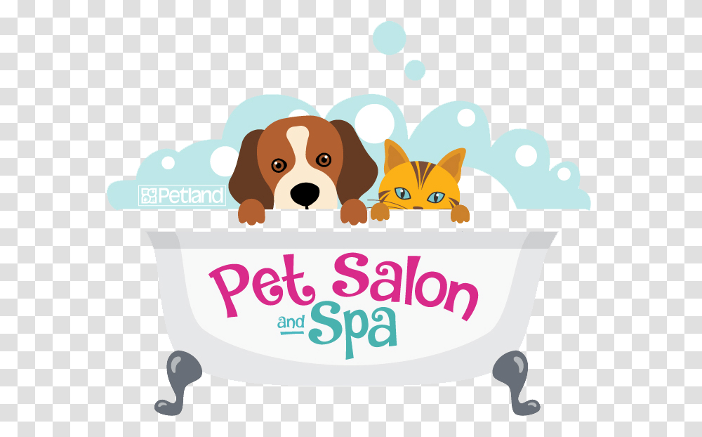 Pet Spa Cartoon, Tub, Cat, Mammal, Animal Transparent Png