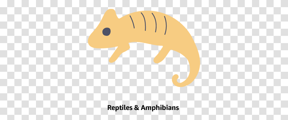 Pet Supplies Animal Figure, Reptile, Gecko, Lizard, Mammal Transparent Png