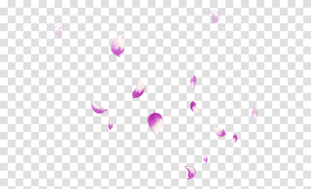 Petal Falling Transprent Free Download Pink Rose, Flower, Plant, Blossom, Bird Transparent Png