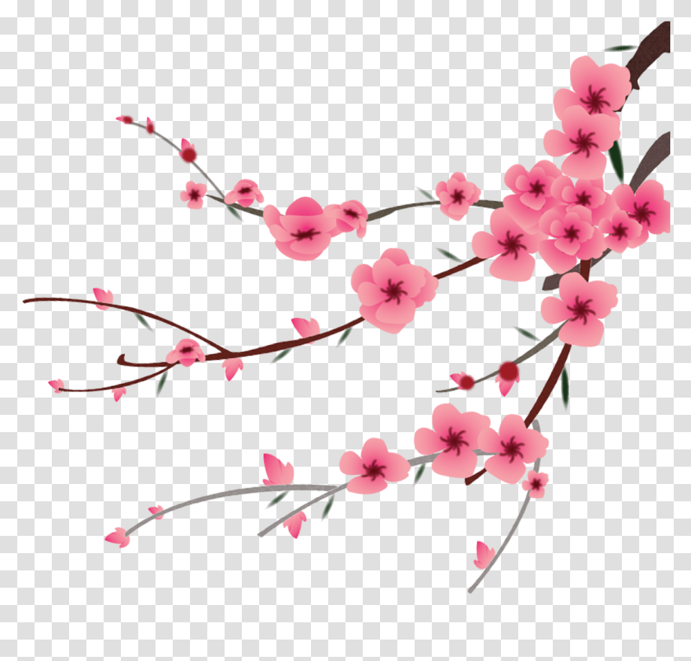 Petal Flower Hand Painted, Plant, Blossom, Cherry Blossom Transparent Png