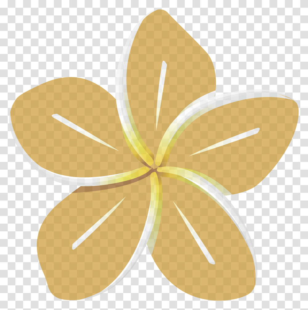 Petal, Flower, Plant, Blossom, Lily Transparent Png