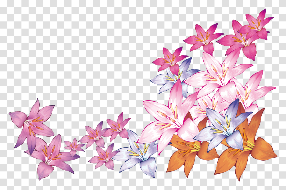 Petal Vector Watercolour, Plant, Flower, Blossom, Lily Transparent Png