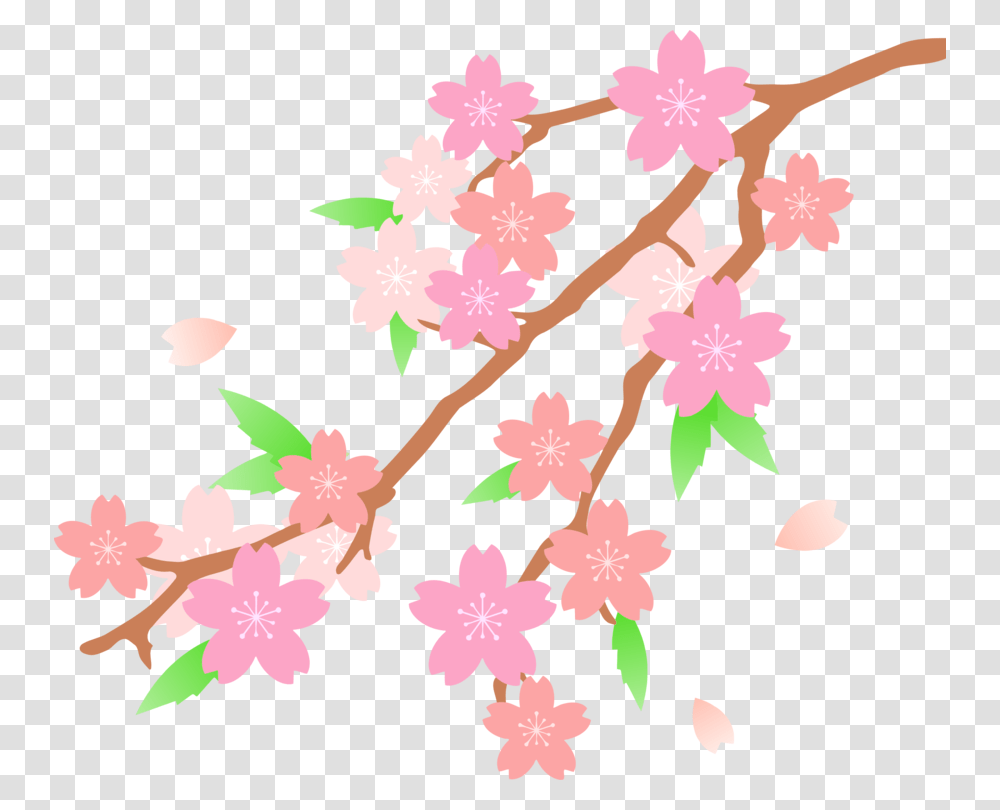 Petalcut Flowerstwig Cherry Blossom Drawn, Plant, Pattern, Floral Design Transparent Png