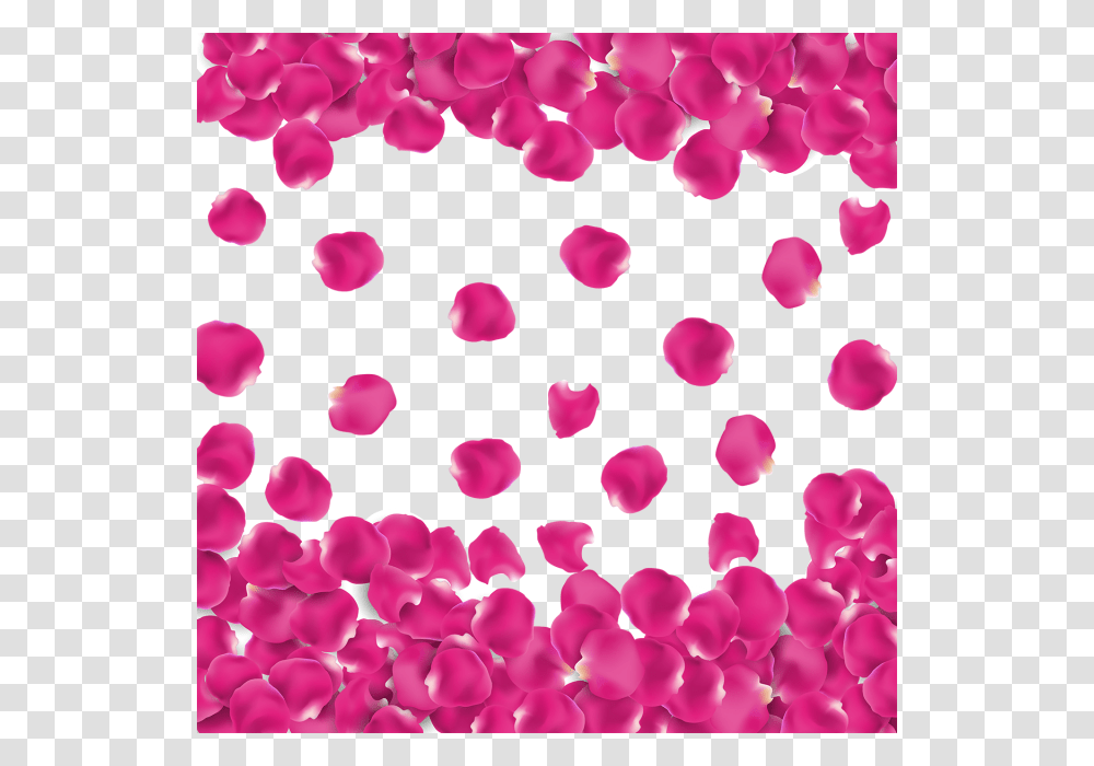 Petalos, Flower, Plant, Blossom, Paper Transparent Png