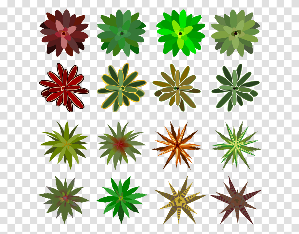 Petalplantflower Plants Top View Drawing, Rug, Leaf, Pattern, Anise Transparent Png