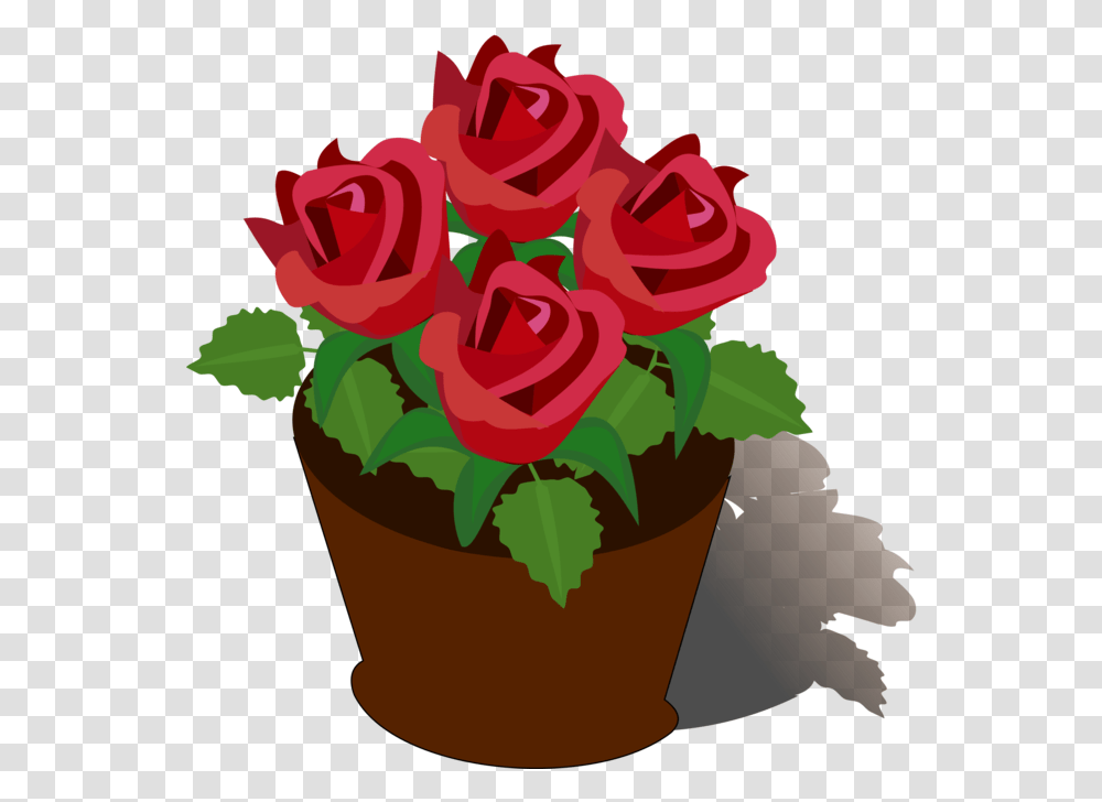 Petalplantflower Rose Flower Pot Drawing, Blossom, Flower Arrangement Transparent Png