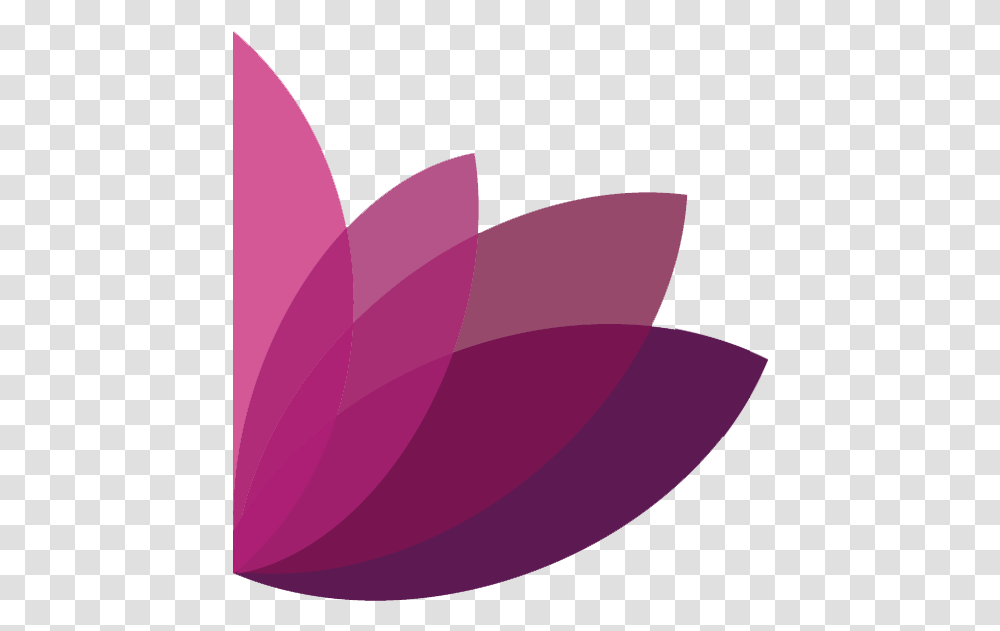 Petals Girly, Purple, Plant, Flower, Dahlia Transparent Png