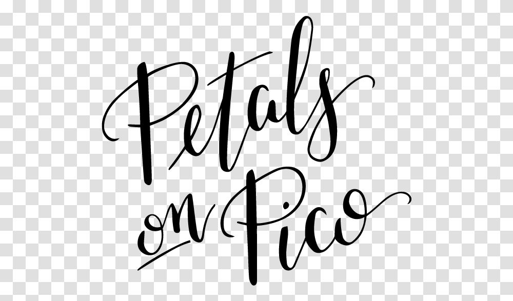 Petals On Pico Calligraphy, Gray, World Of Warcraft Transparent Png