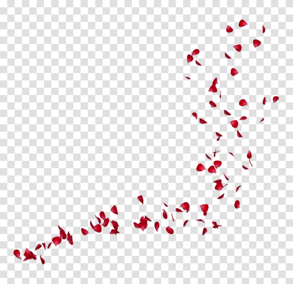 Petals, Paper, Confetti Transparent Png