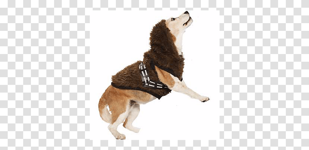 Petco Star Wars Costume Chewbacca, Harness, Dog, Canine, Animal Transparent Png