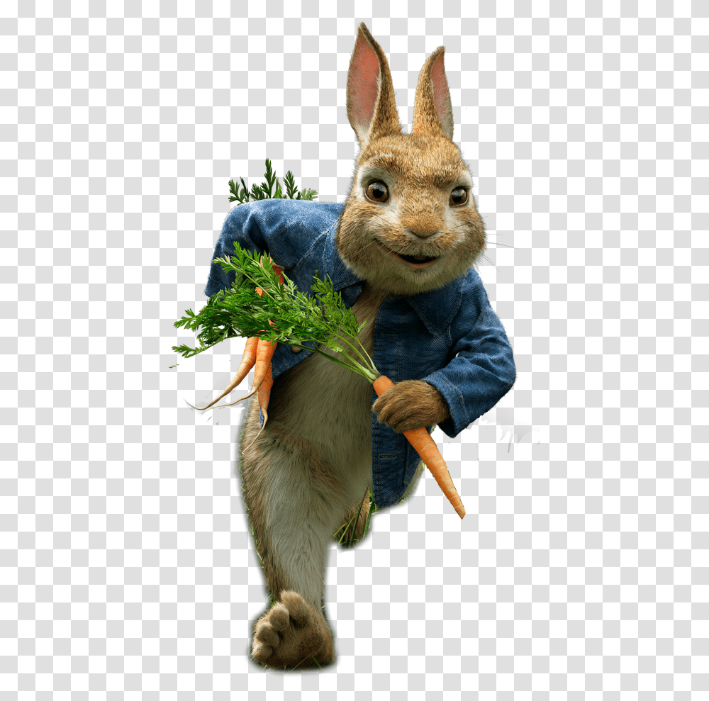Peter Rabbit 2 Download Peter Rabbit Movie, Plant, Food, Mammal, Animal Transparent Png