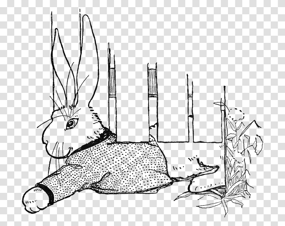Peter Rabbit Albert 19 Domestic Rabbit, Arrow, Bird, Animal Transparent Png
