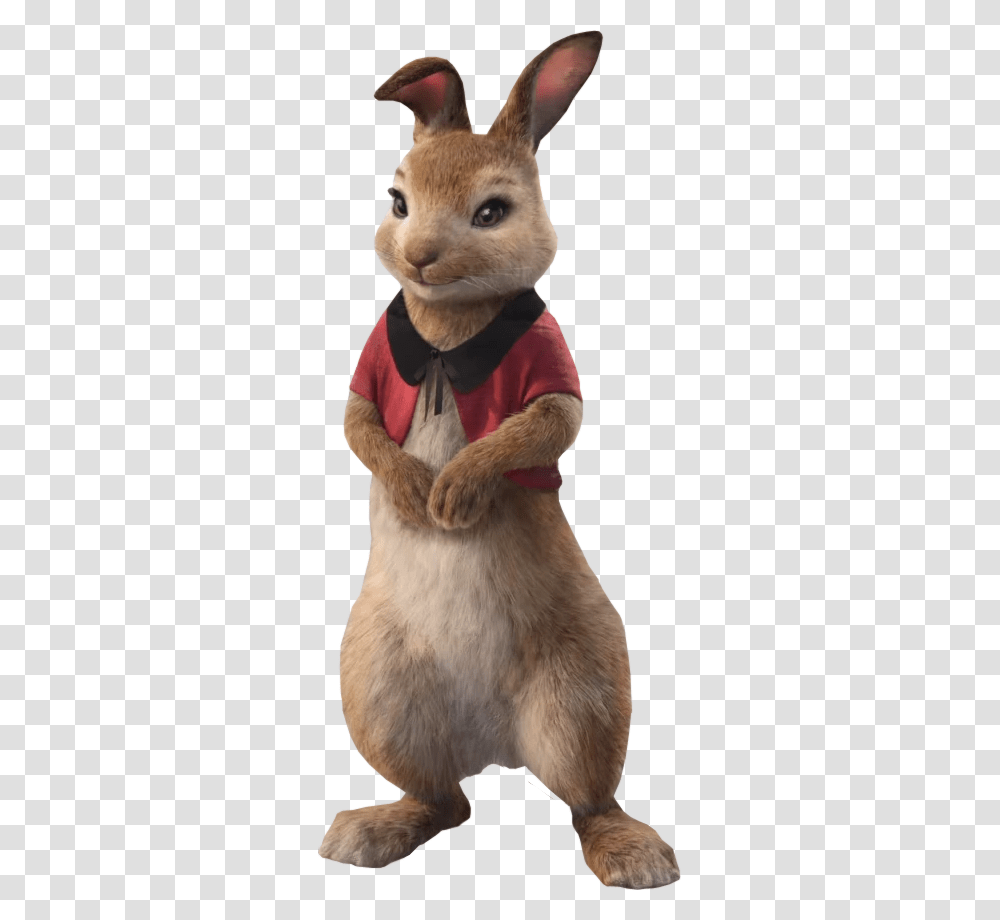 Peter Rabbit Peter Rabbit Characters Movie, Mammal, Animal, Cat, Photography Transparent Png