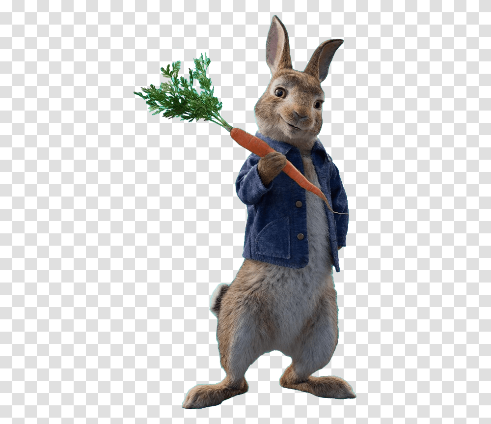 Peter Rabbit Peter Rabbit, Plant, Carrot, Vegetable, Food Transparent Png